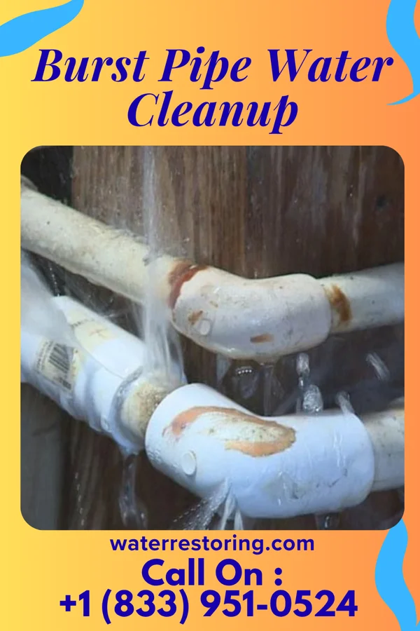 Burst Pipe Water Cleanup in Doffing, TX